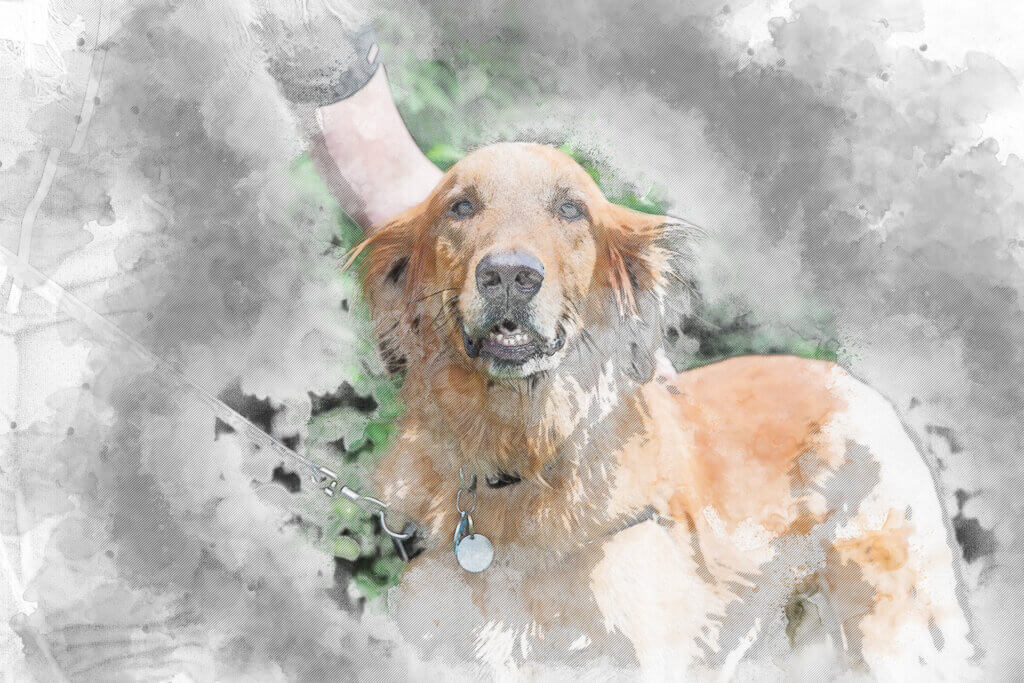 Veterinary Clinic - Blaine Central Veterinary Clinic